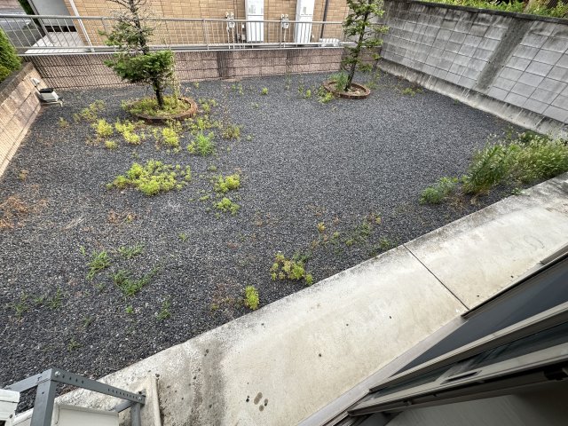 庭