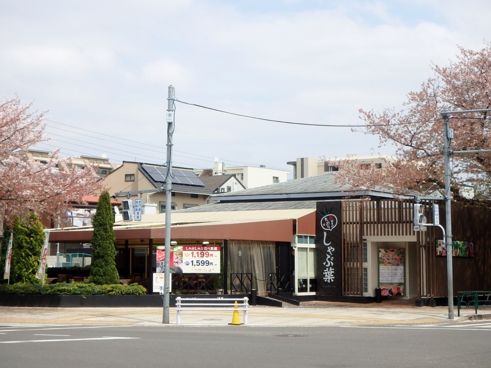 飲食店　しゃぶ葉 国立富士見台店（飲食店）まで815m