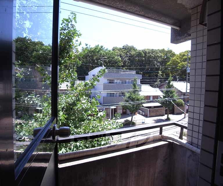 眺望　緑がいっぱい景色