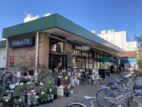 スーパー　Odakyu OX(オダキュウ オーエックス) 小田原店（スーパー）まで676m