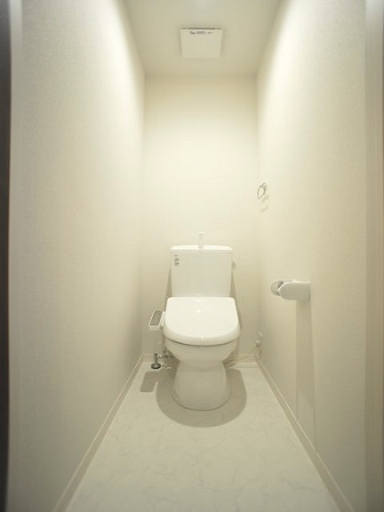 ラヴィーヌ中丸のトイレ写真