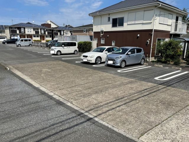 プリムローズのその他写真