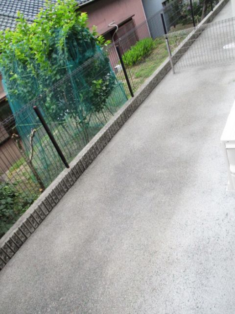 庭