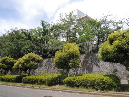 小学校　鎌倉市立西鎌倉小学校（小学校）まで1046m