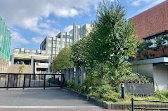 高校・高専　東京都立大崎高等学校（高校・高専）まで432m