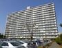 エクセル津田沼 8階 築40年3ヶ月の賃貸物件