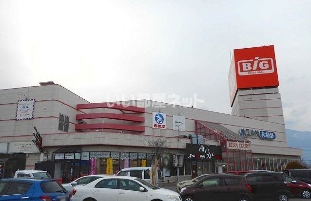 スーパー　ザ・ビッグ 三郷店（スーパー）まで1575m