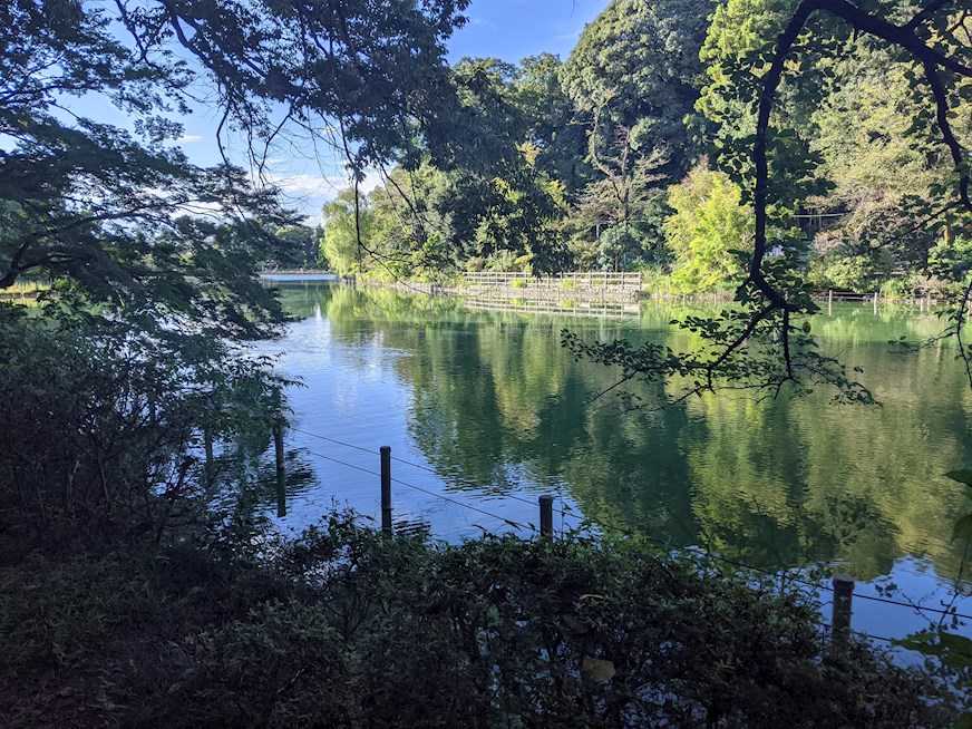 公園　都立善福寺公園（公園）まで20m