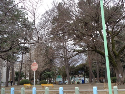 公園　相模台公園（公園）まで229m