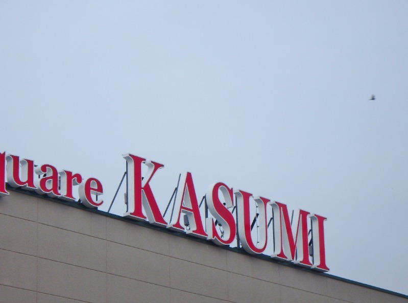 スーパー　カスミフードスクエア下館南店（スーパー）まで305m