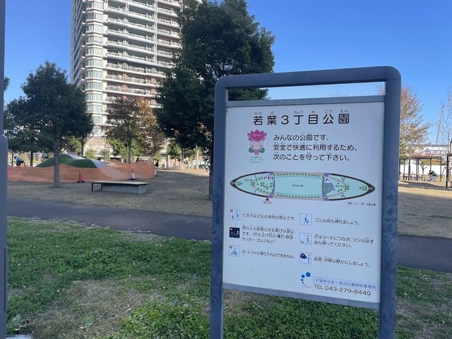 公園　若葉３丁目公園（公園）まで30m