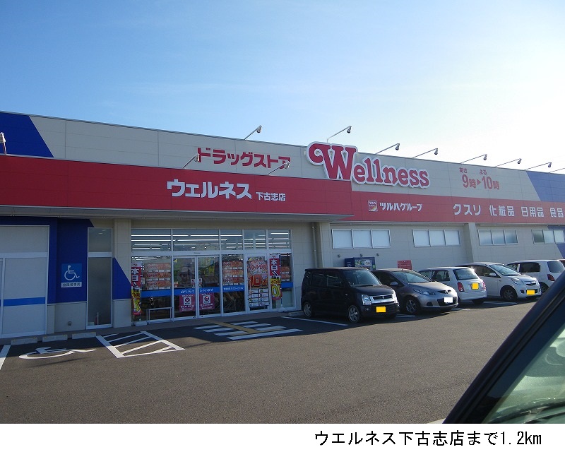 その他　ウエルネス下古志店まで1200m