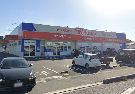 ドラックストア　ウェルネス 下古志店（ドラッグストア）まで1211m