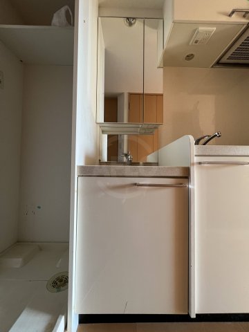 洗面設備　エステムコート難波WEST-SIDE大阪ドーム前　独立洗面台