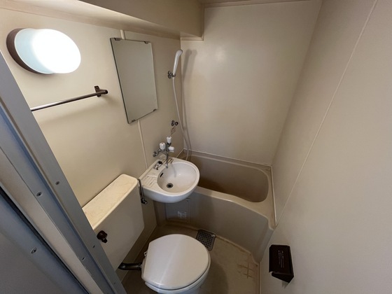 バス・シャワールーム　※別部屋の写真です