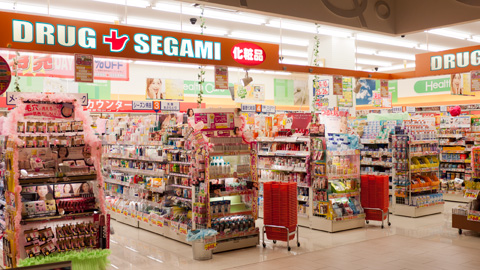 ドラックストア　ドラッグセガミイオンモール広島府中店（ドラッグストア）まで769m