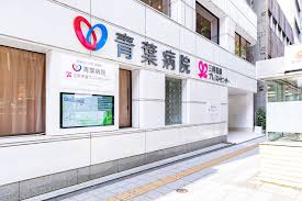 病院　青葉会青葉病院（病院）まで838m