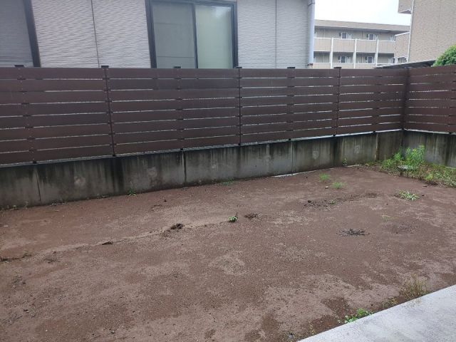 庭