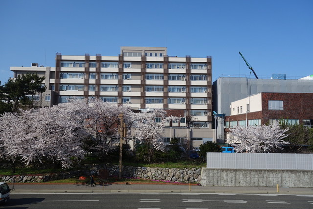 大学・短大　国立新潟大学歯学部（大学・短大）まで629m