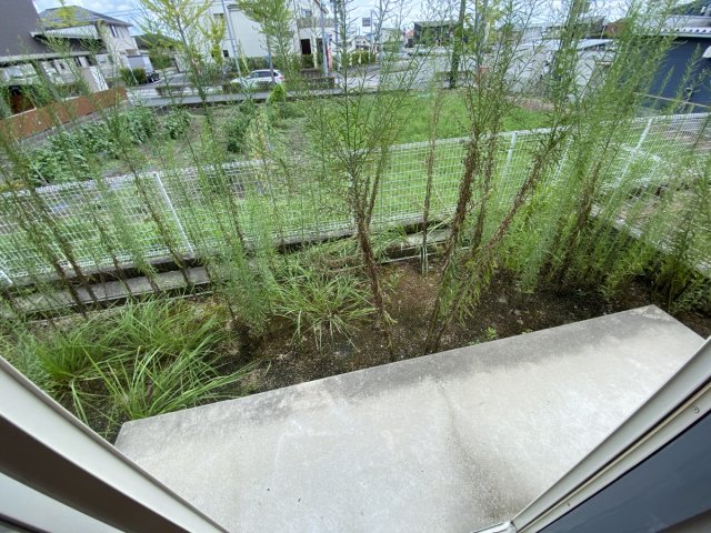 庭