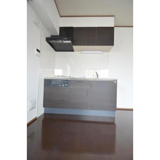 キッチン　写真は他の部屋の物です。現状優先