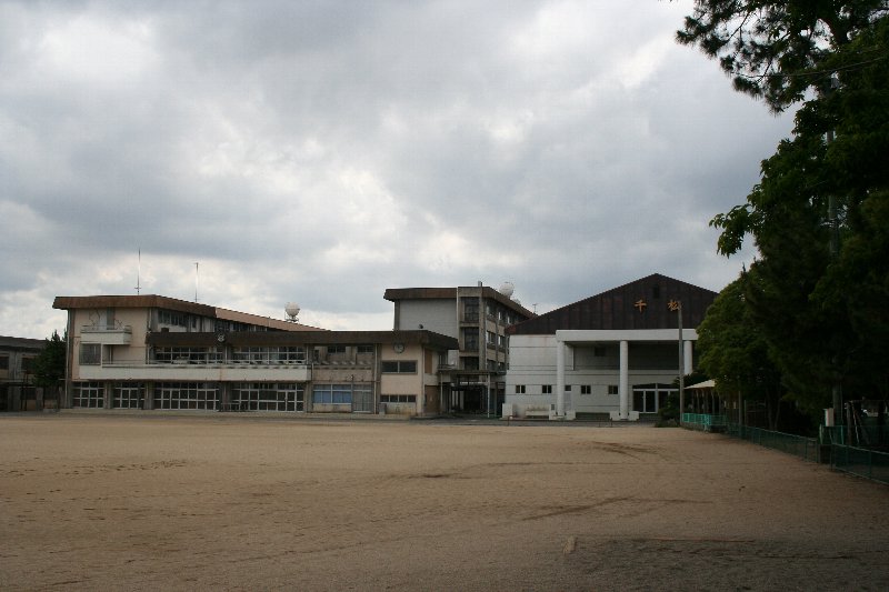 【徳島市北矢三町のマンションの小学校】