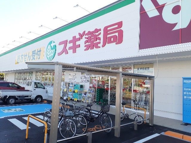 【高崎市大橋町のアパートのドラックストア】