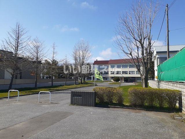 小学校　苫小牧市立大成小学校（小学校）まで279m