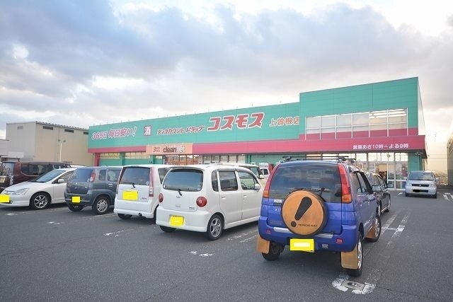 その他　コスモス（その他）まで850m