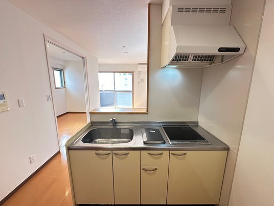 キッチン　※別号室の写真です