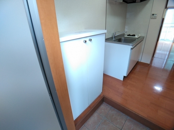 玄関　参考写真　シューズボックスあります