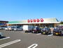 スーパー　SENDO(せんどう) 島野店（スーパー）まで598m
