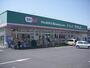 ドラックストア　ドラッグセイムス 青柳北店（ドラッグストア）まで1053m
