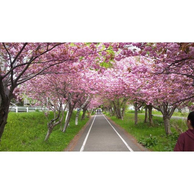 その他　白石サイクリングロード（その他）まで140m