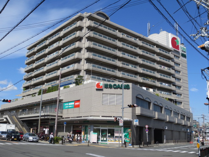 スーパー　オアシス（スーパー）まで240m