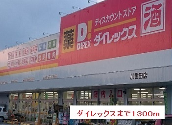 その他　ダイレックス（その他）まで1300m