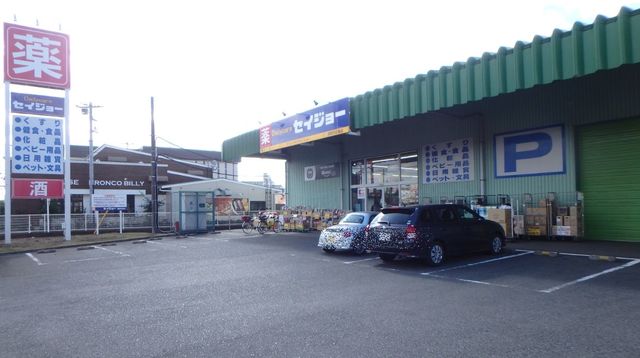 ドラックストア　デイリーケアセイジョー浦和円正寺店（ドラッグストア）まで721m