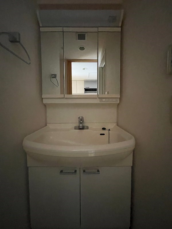 洗面設備　※他のお部屋です、ご参考までに