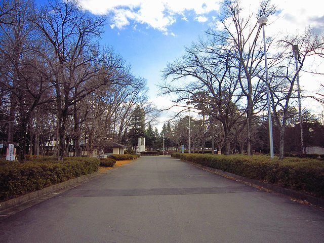 公園　駒場公園（公園）まで653m