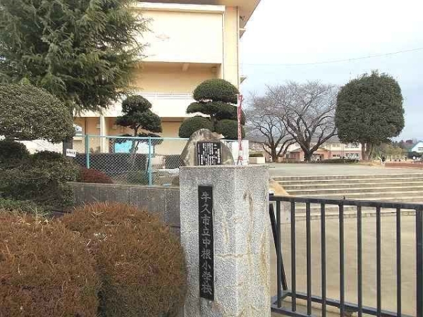 小学校　中根小（小学校）まで1800m
