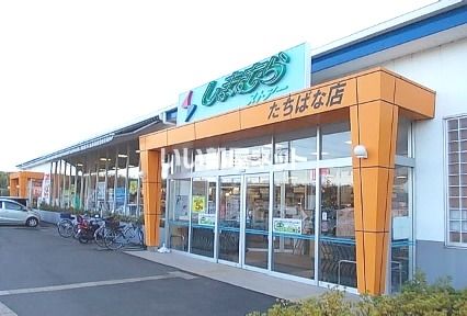 スーパー　しまむらストアー たちばな店（スーパー）まで512m