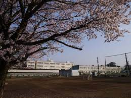 中学校　毛呂山町立 川角中学校（中学校）まで1154m