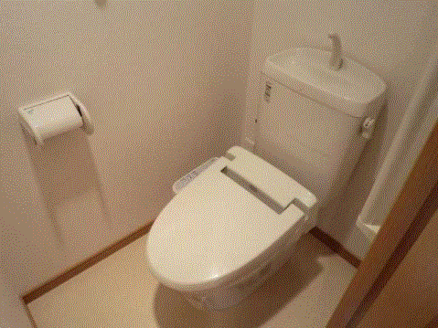 トイレ　※同物件、別部屋になります。