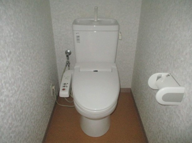 東武小泉線 竜舞駅 徒歩21分 3階建 築19年のトイレ写真