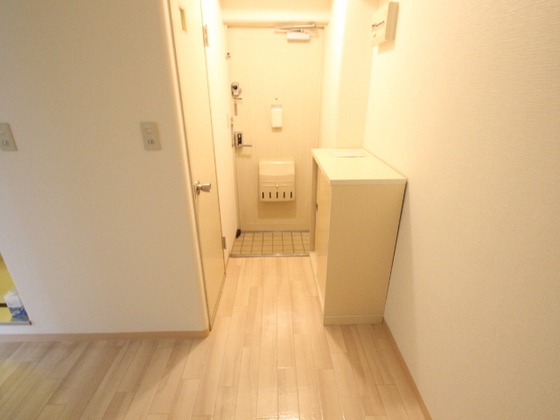 玄関　※別の部屋の写真です。