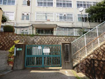 中学校　筒井台中学校（中学校）まで385m