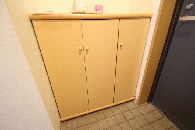 玄関　写真は別号室のものです。