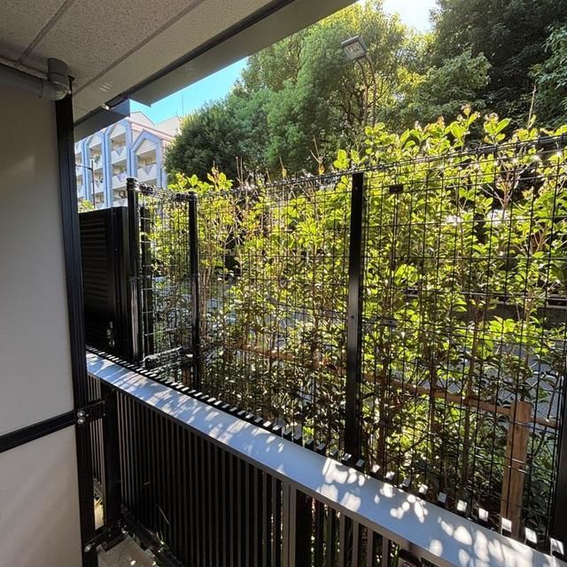 眺望　参考写真です