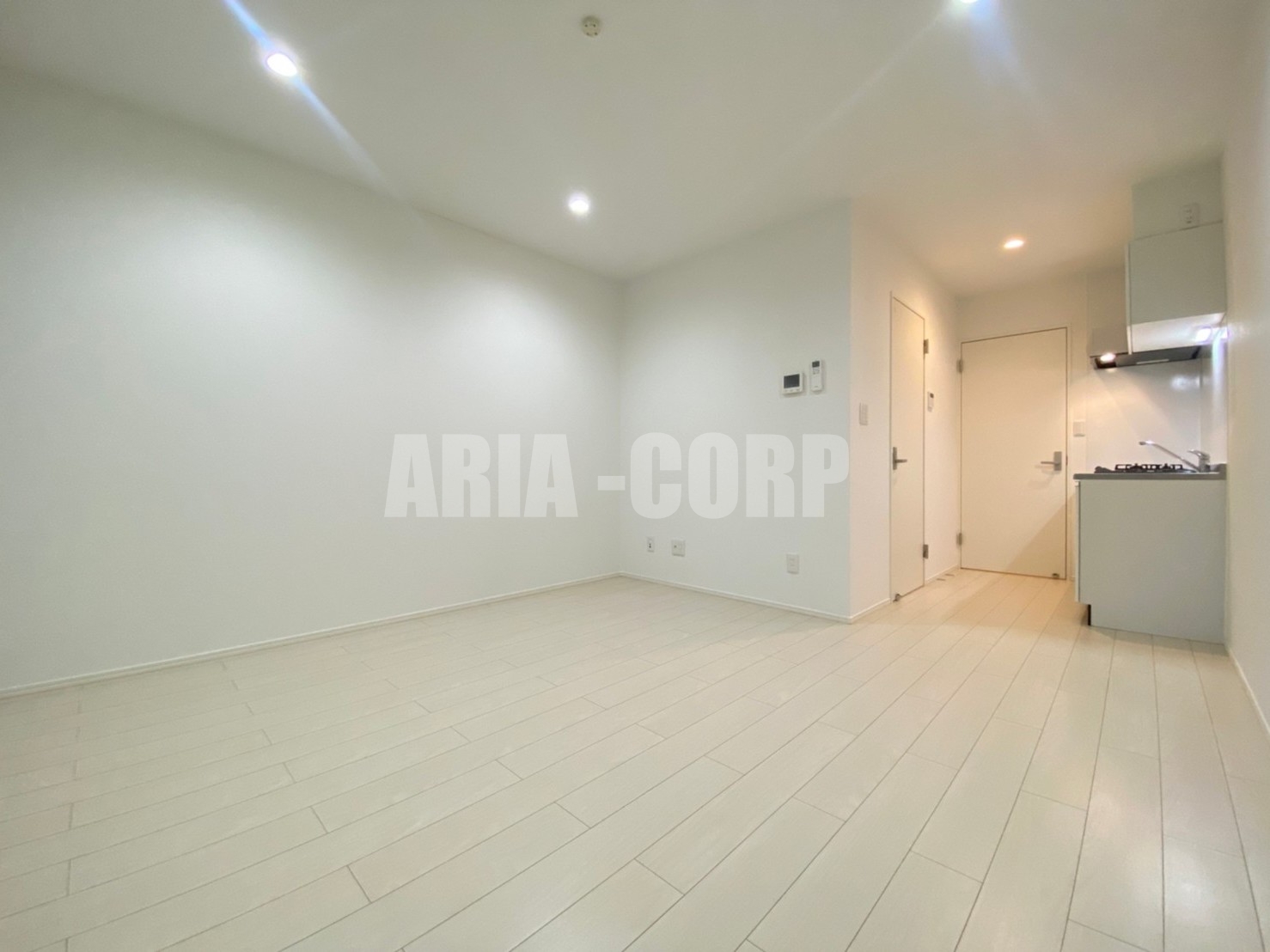 居室・リビング　白を基調としたお洒落なお部屋！奥行きたっぷりの空間です♪