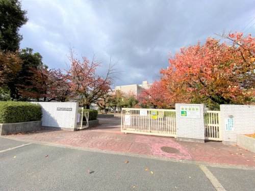 中学校　堺市立津久野中学校（中学校）まで385m